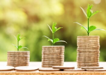 Compound Interest: The Force That Turns Small Money Into Wealth